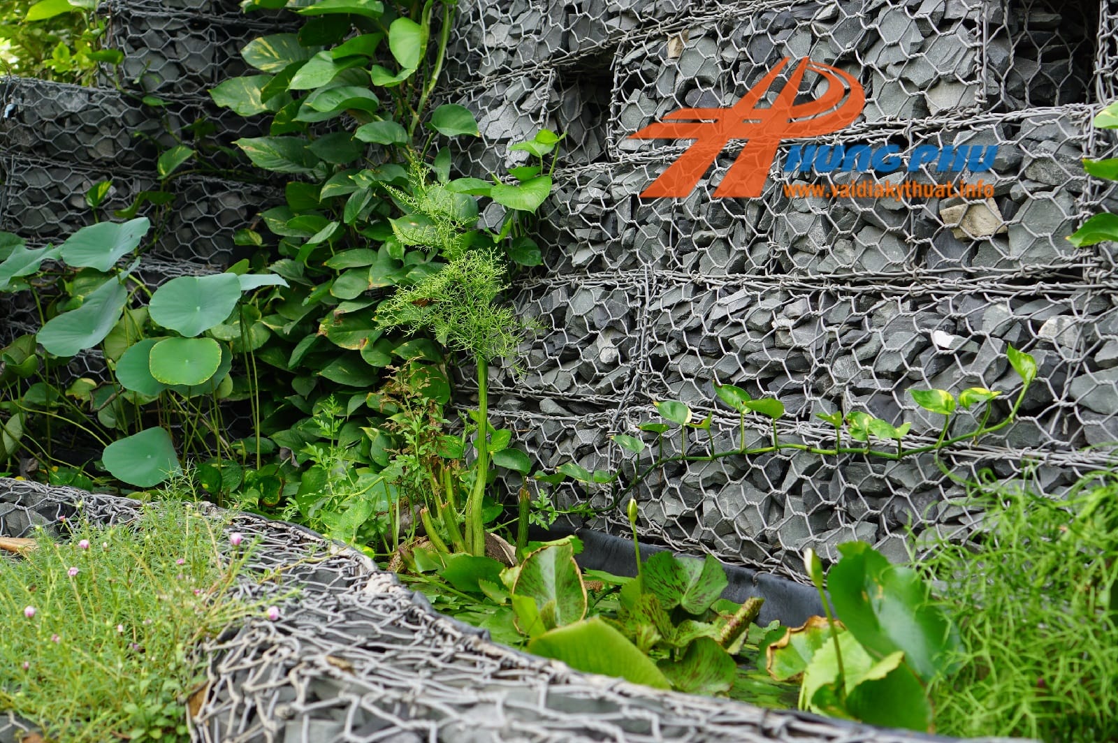 Vải địa kỹ thuật trồng cây