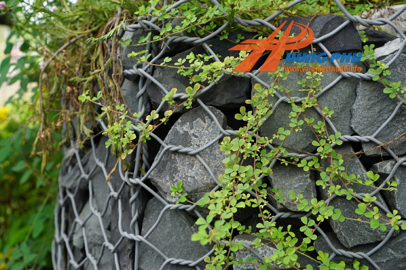 Vải địa kỹ thuật trồng cây