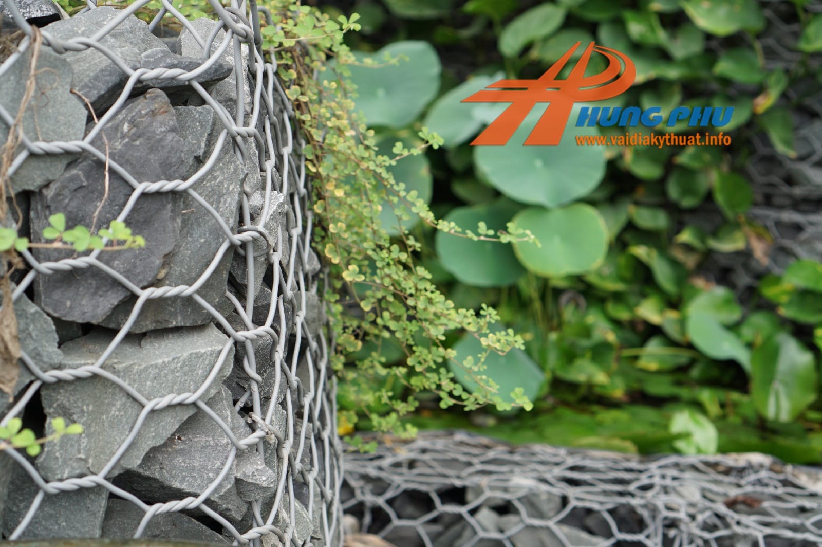 Vải địa kỹ thuật trồng cây