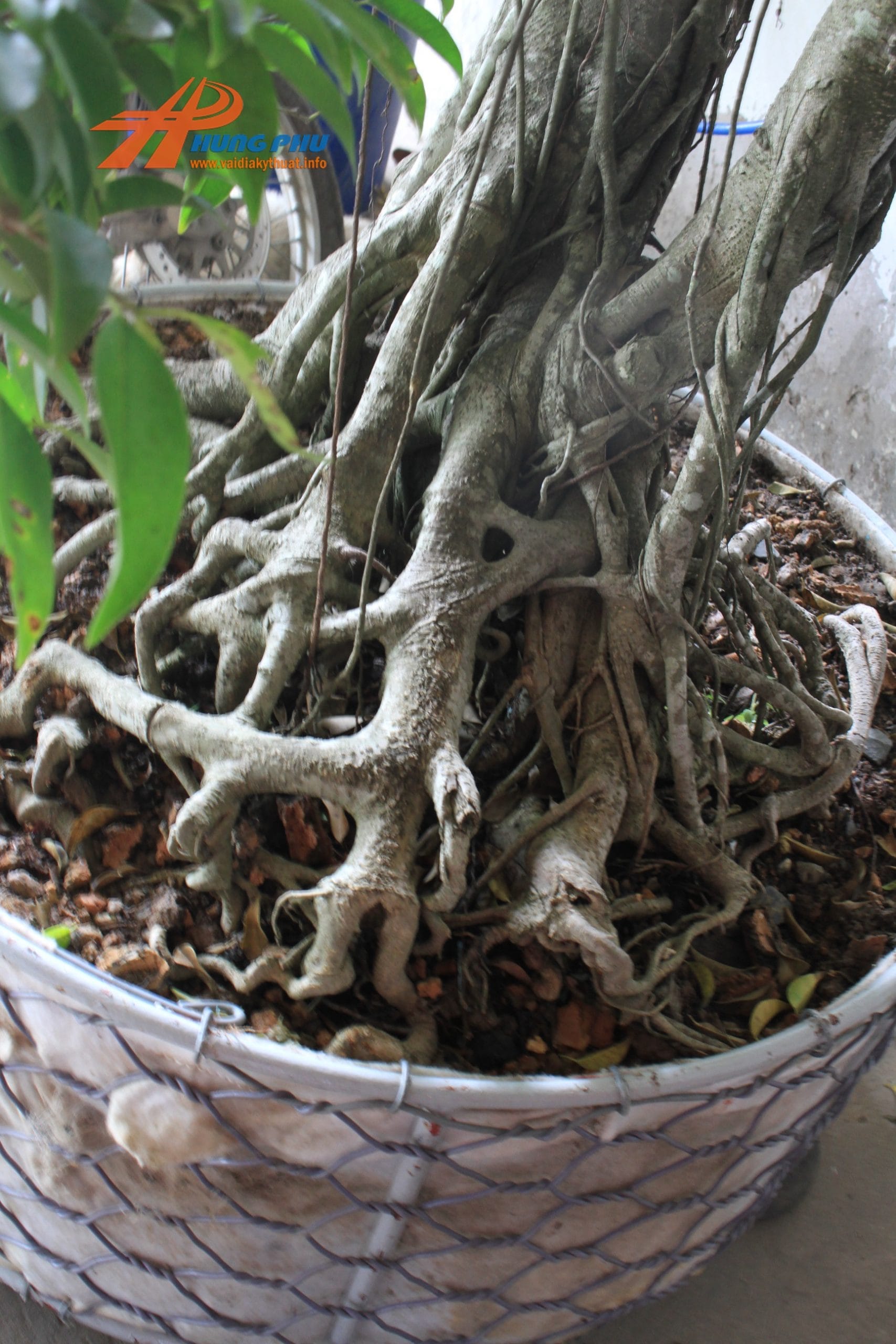 Vải địa kỹ thuật trồng cây, rọ đá và màng chống thấm HDPE trang trí cảnh quan