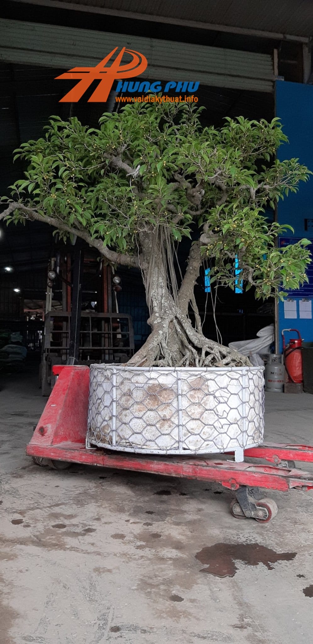 Vải địa kỹ thuật trồng cây, rọ đá và màng chống thấm HDPE trang trí cảnh quan