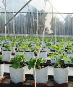 Túi vải trồng cây có quai xách | Kích thước T80 | Combo 20 cái