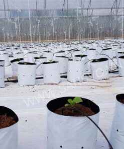 Túi vải trồng cây có quai xách | Kích thước T80 | Combo 20 cái