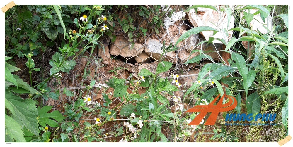 Định hình khối rọ đá trong sản xuất và các loại rọ đá 20 Định hình khối rọ đá trong sản xuất và các loại rọ đá