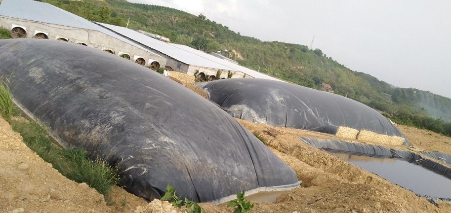 Hầm Biogas Cơ chế hoạt động, lợi ích cho chăn nuôi hiện nay