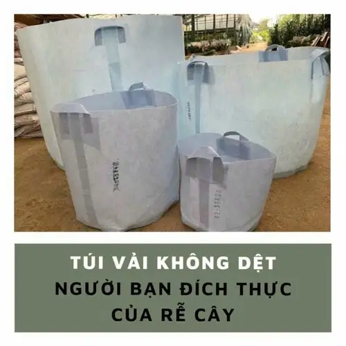 Túi Vải Không Dệt Trồng Cây