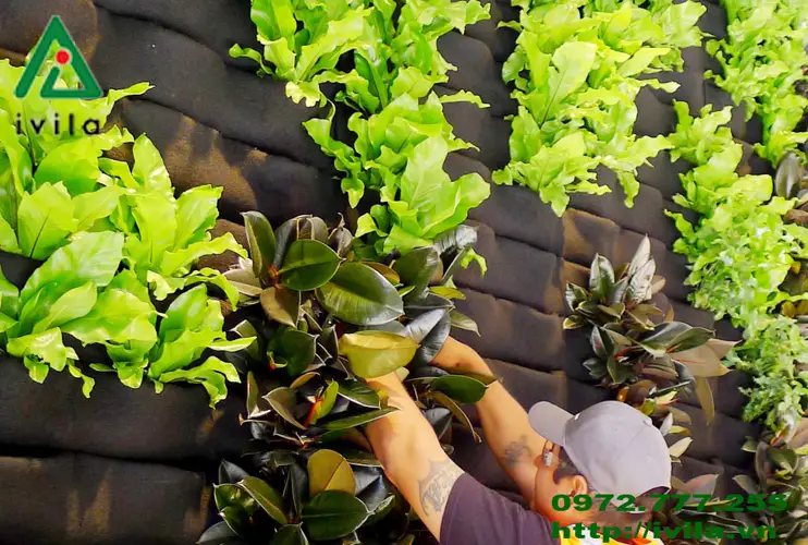 Túi Vải Trồng Cây Treo Tường Giải Pháp Xanh Cho Gia Đình Bạn