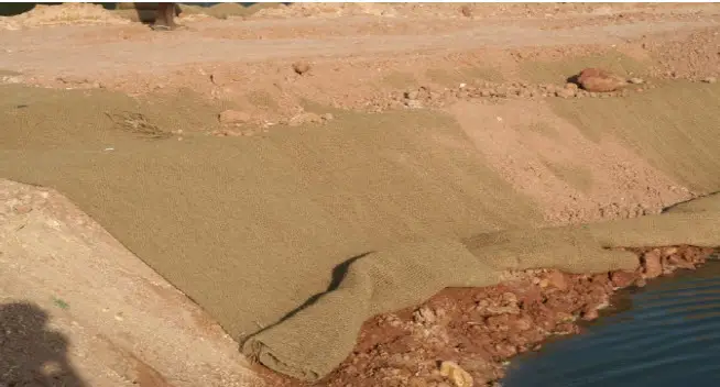 Ứng Dụng Xơ Dừa Trong Ổn Định Đất: Trường Hợp Thực Tiễn