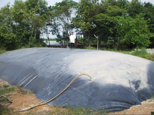 Thi công hầm biogas bằng màng HDPE giá rẻ - Những điều cần lưu ý