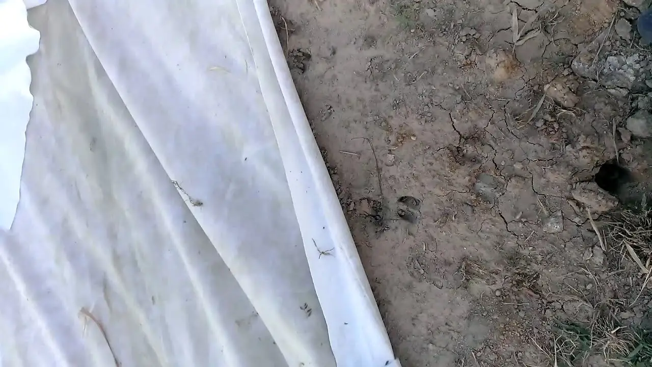 Bán Vải Địa Kỹ Thuật Tại Đà Nẵng