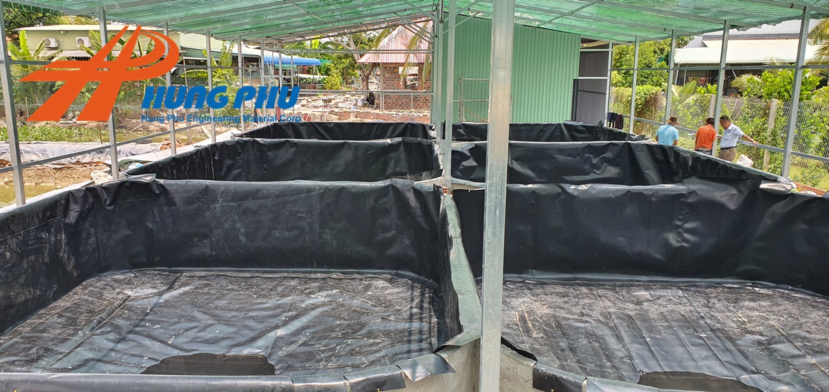 Bạt Lót Ao HDPE Giải Pháp Hiệu Quả Cho Nghề Nuôi Trồng Thủy Sản