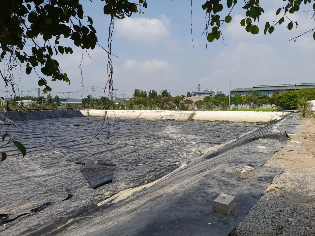 Màng Lót HDPE Giải Pháp Chống Thấm Toàn Diện, Nâng Tầm Công Trình & Phát Triển Bền Vững