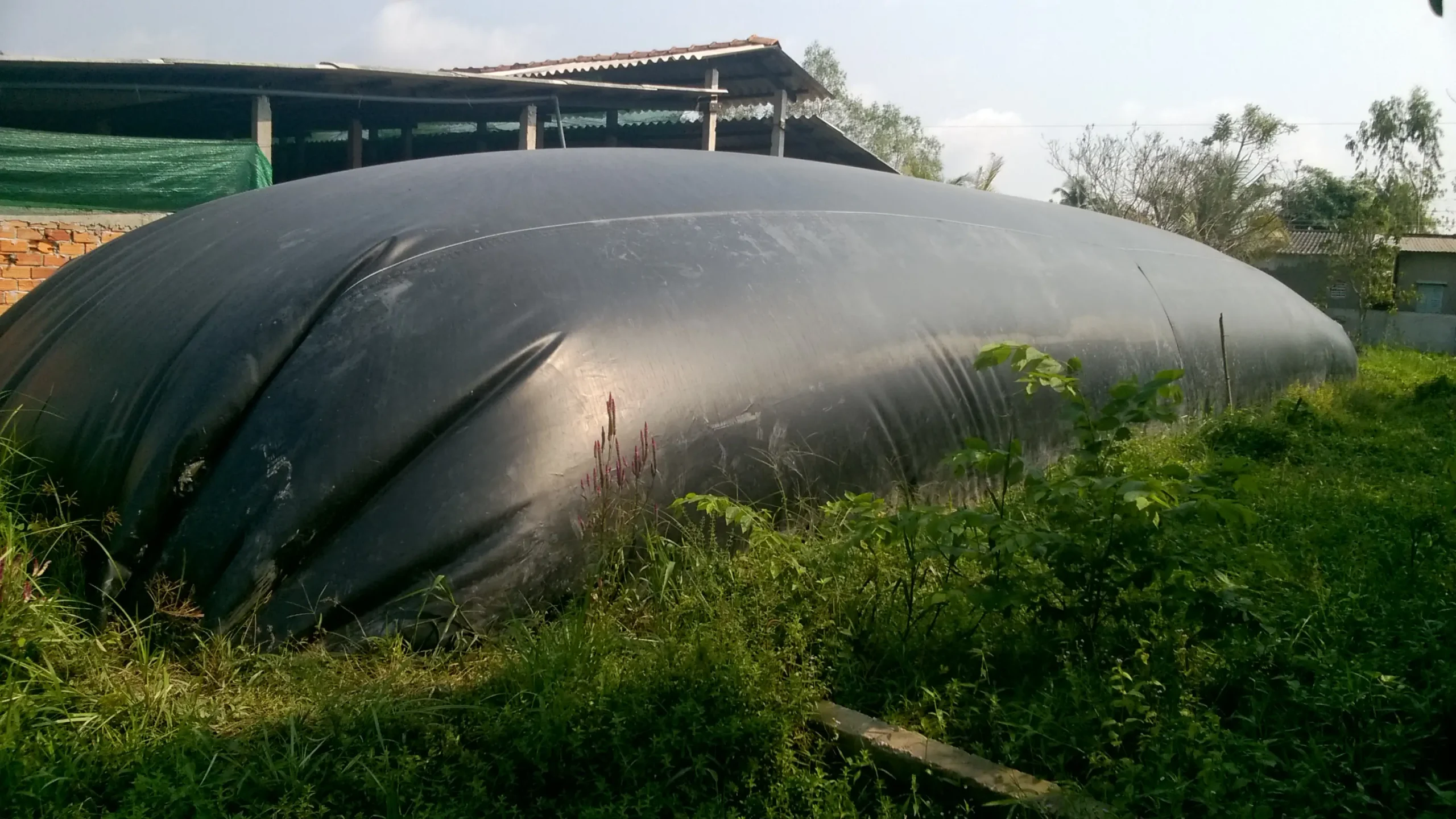 Hầm Biogas Bao Nhiêu Ngày Mới Có Ga? - Giải Mã Thời Gian Tạo Khí & Ứng Dụng