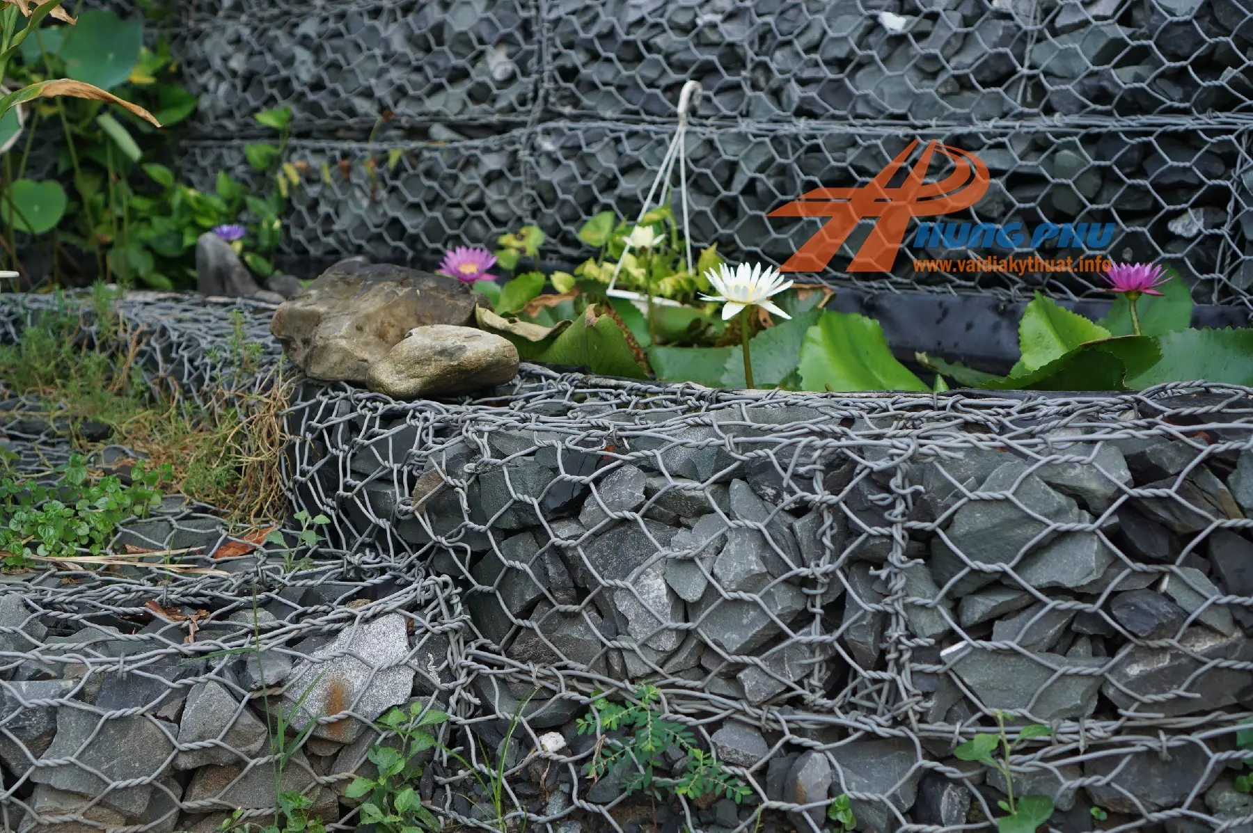 Rọ Đá PVC – Giải Pháp Bảo Vệ Bờ Biển & Xây Dựng Bền Vững