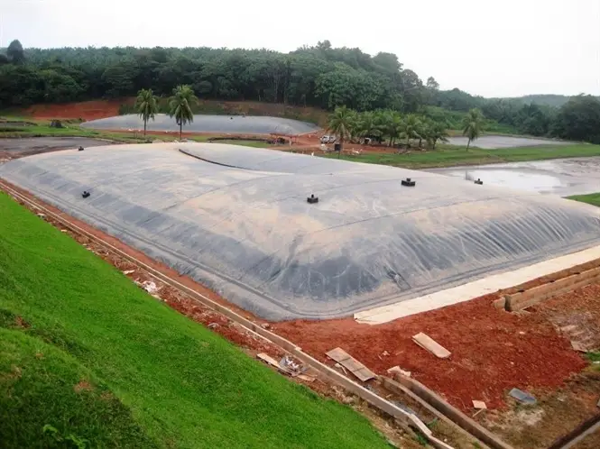 Sử Dụng Nước Thải Từ Hầm Biogas Để Tưới Cây - Giải Pháp Nông Nghiệp Bền Vững & Hiệu Quả