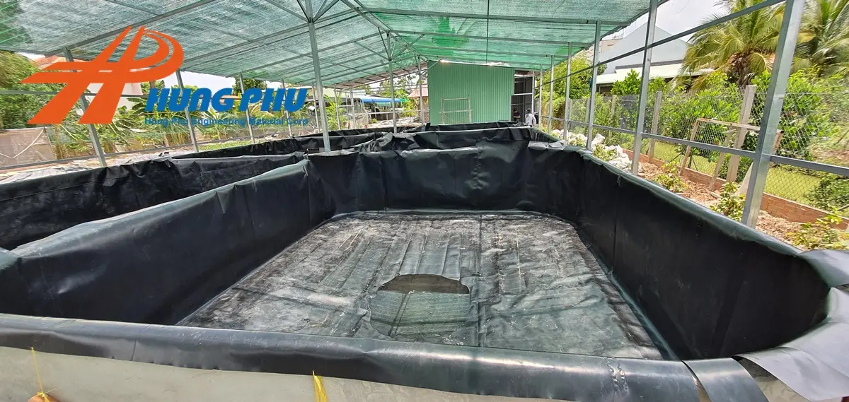 Bạt HDPE Lót Hồ - Giải Pháp Vàng Cho Nuôi Trồng Thủy Sản Bền Vững