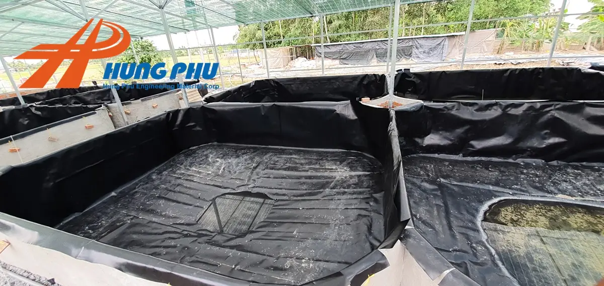 Bạt HDPE Nuôi Cá - Giải Pháp Vàng Cho Ngành Thủy Sản Hiện Đại