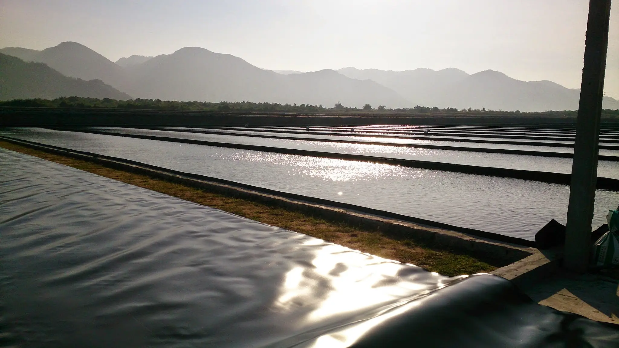 Bạt Lót Ruộng Muối - Giải Pháp Vàng Cho Ngành Muối Việt