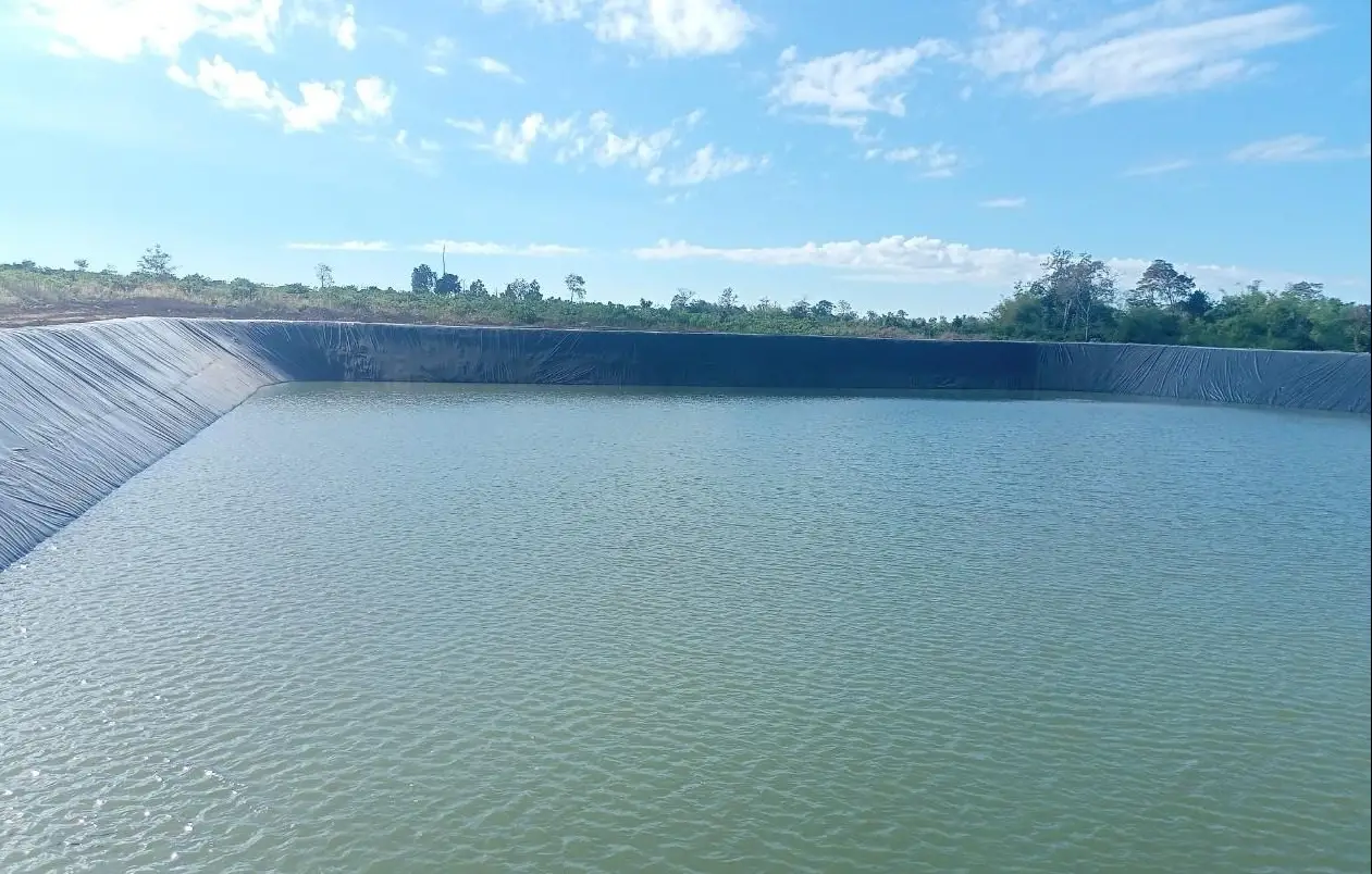 Bạt Nhựa Chứa Nước - Giải Pháp Vàng Cho Nông Nghiệp Bền Vững