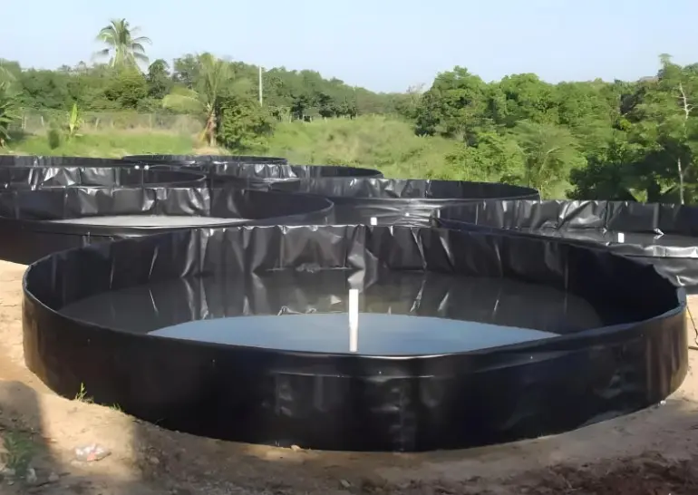 12 giá trị của màng HDPE cho giải pháp xây hồ nổi trong nuôi trồng thủy sản 7 12 giá trị của màng HDPE cho giải pháp xây hồ nổi trong nuôi trồng thủy sản