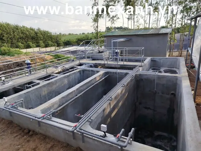 Xử Lý Nước Thải Trại Heo - Hành Động Vì Môi Trường Xanh & Cộng Đồng Khỏe 9 Xử Lý Nước Thải Trại Heo - Hành Động Vì Môi Trường Xanh & Cộng Đồng Khỏe