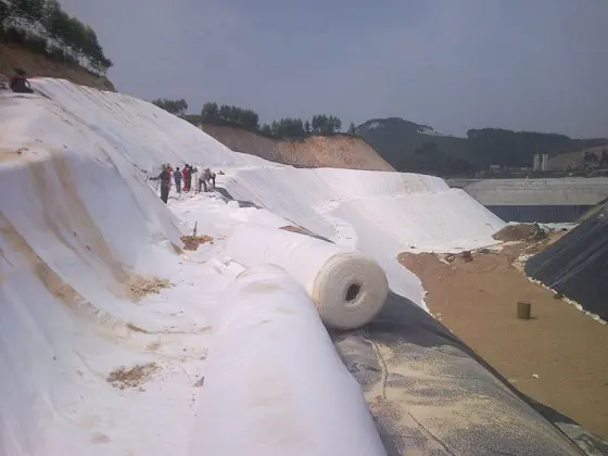 Định hướng bố trí vải địa kỹ thuật không dệt trên mái dốc