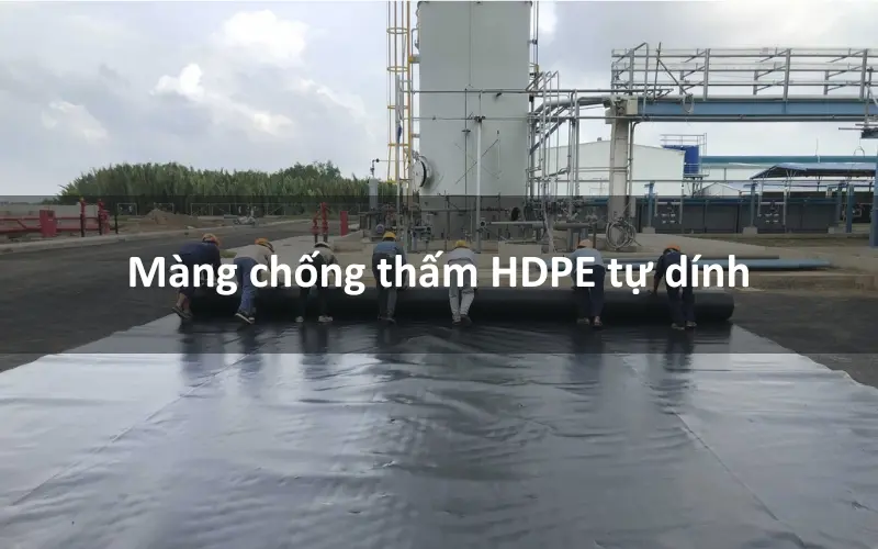 Màng HDPE trong công trình bê tông