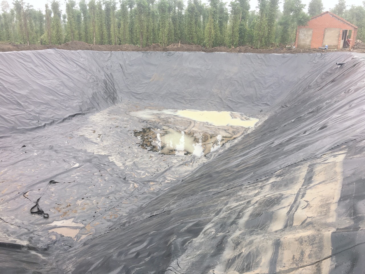 Thi công hầm Biogas HDPE 12 Thi công hầm Biogas HDPE