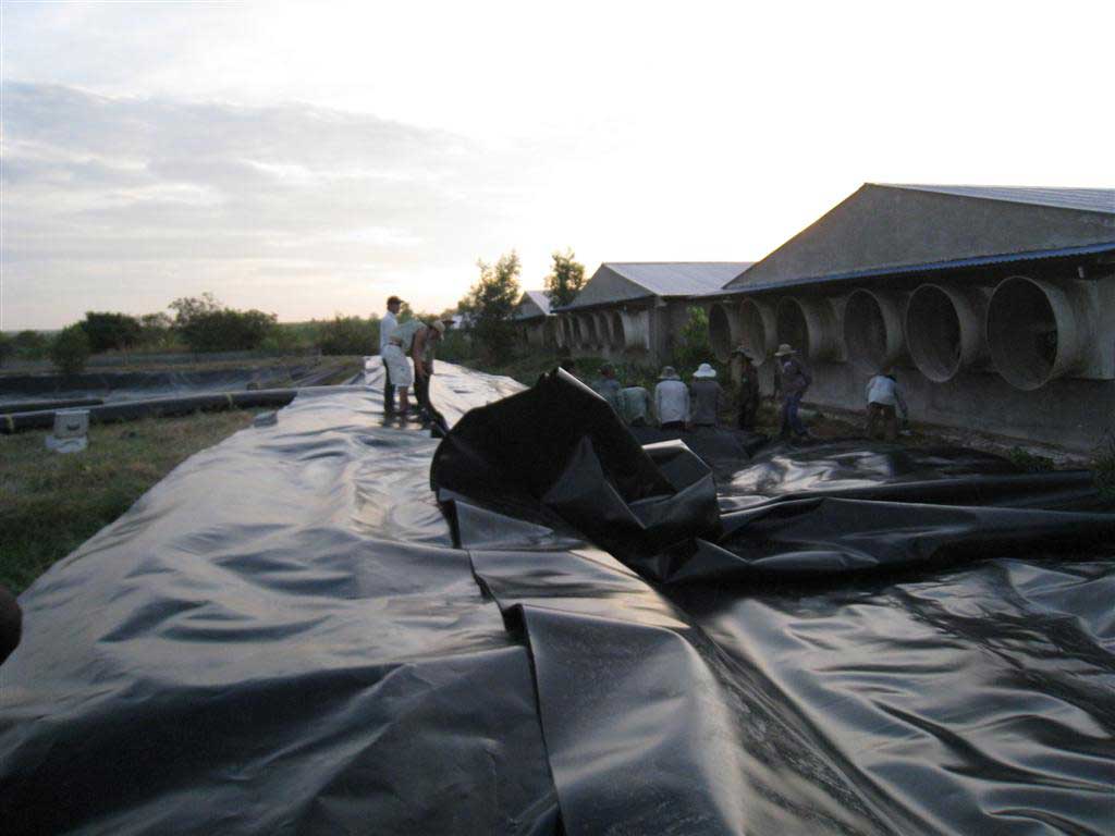 Thi công hầm Biogas HDPE 13 Thi công hầm Biogas HDPE