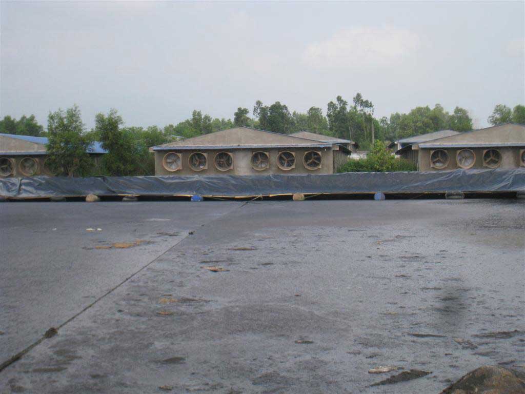 Thi công hầm Biogas HDPE 14 Thi công hầm Biogas HDPE
